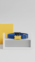 Collar ajustable con placa identificadora